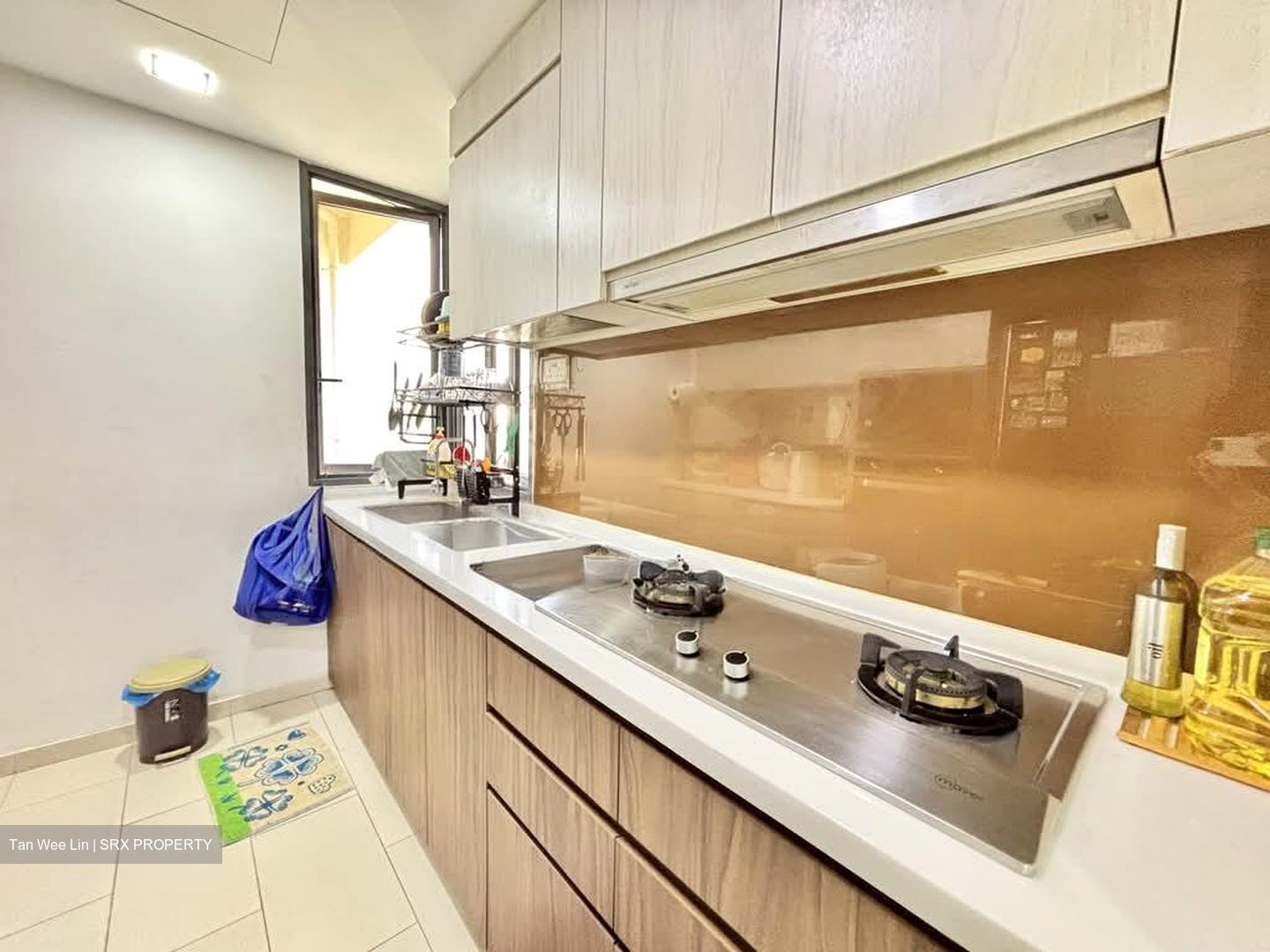 Palm Isles (D17), Condominium #588845231